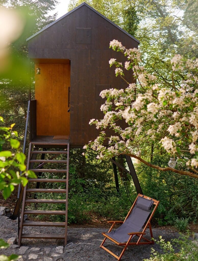 posed nad lesem — foto 2