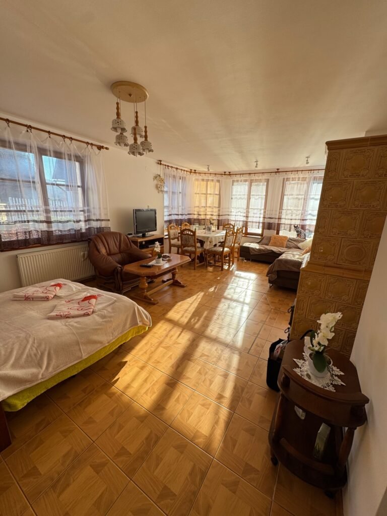 zizi roubenka — foto 2