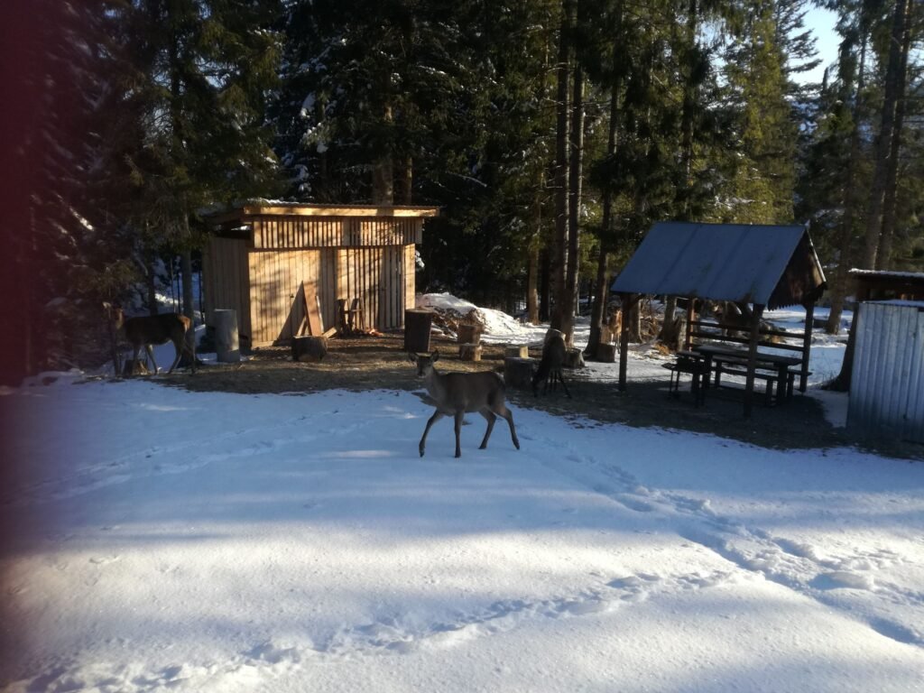 chata julie oravice — foto 2