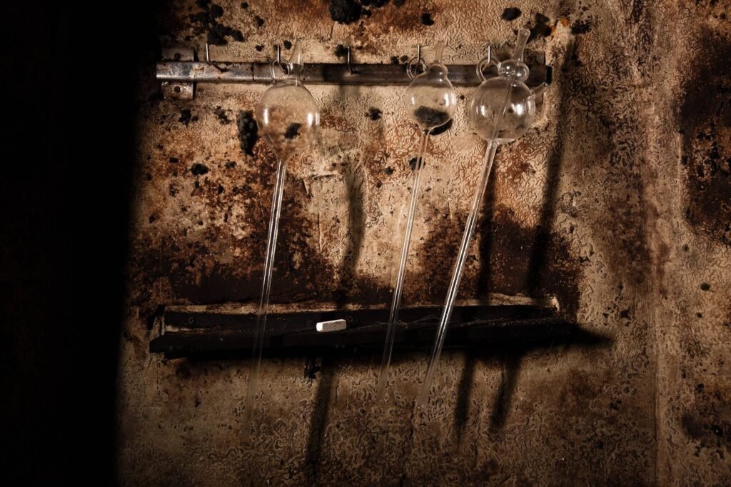 vinarstvi dobrovolny — foto 3