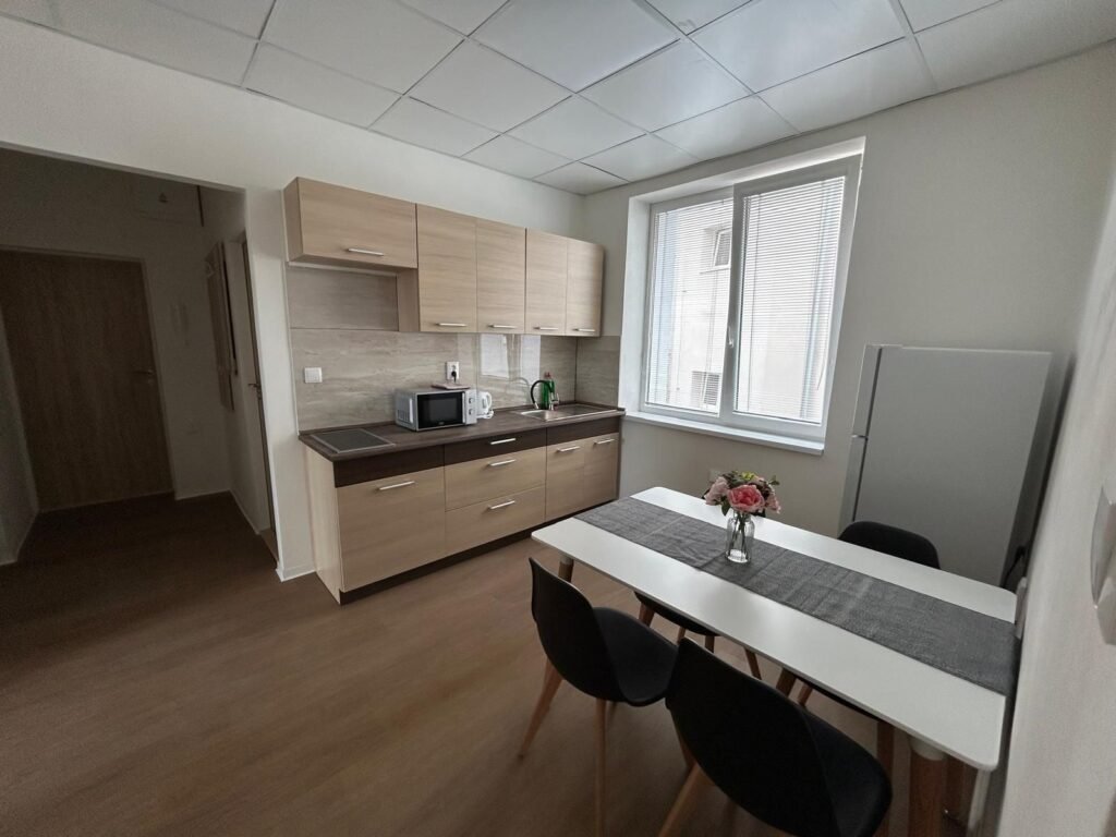 Skodova apartments — foto 1