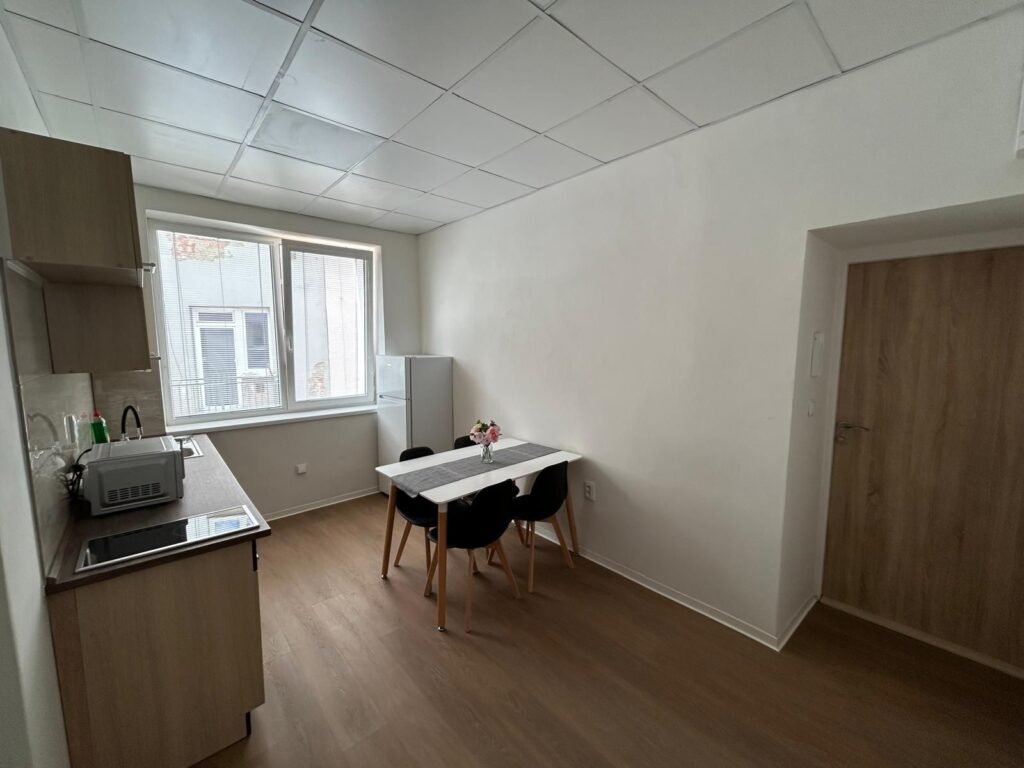 Skodova apartments — foto 2