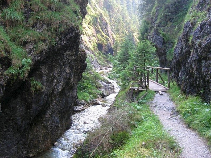 drevenica modry dom — foto 3