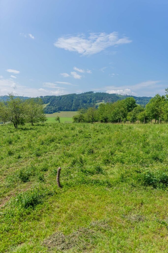tiny house na kopcu — foto 6