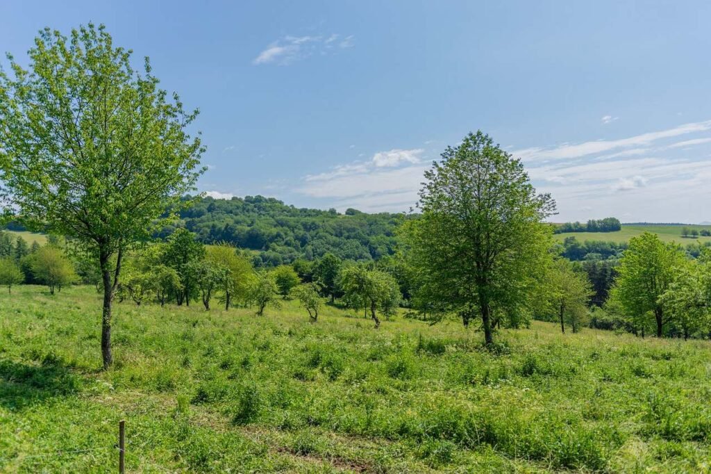 tiny house na kopcu — foto 5