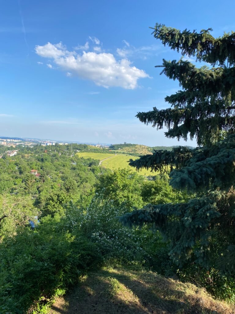 Chata u libusky — foto 8