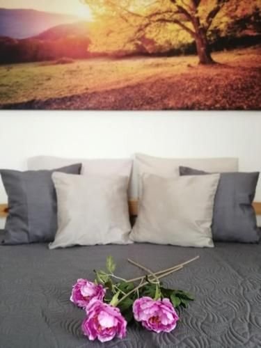 apartmany u stribrnych — foto 2