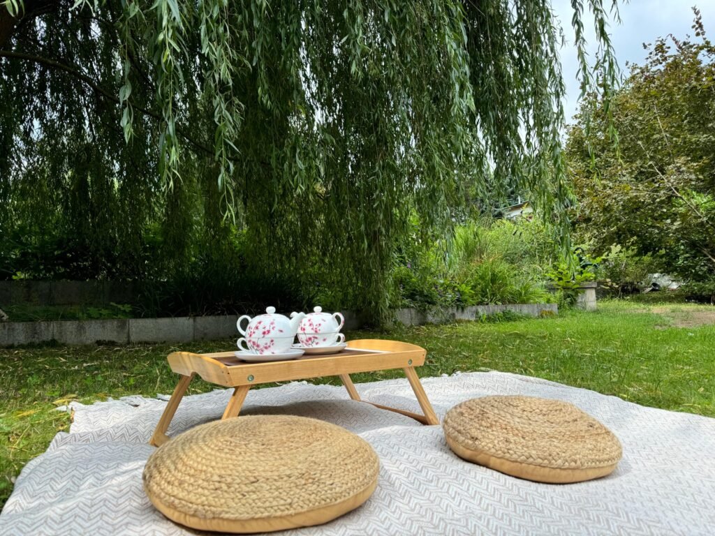 chillzona u medojeda — foto 3