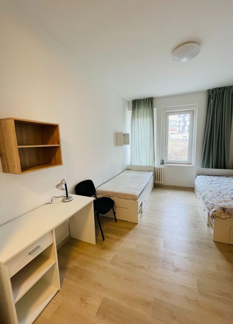 apartmany strizkov 106