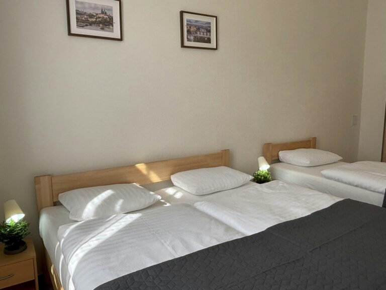 deluxe city center apartment