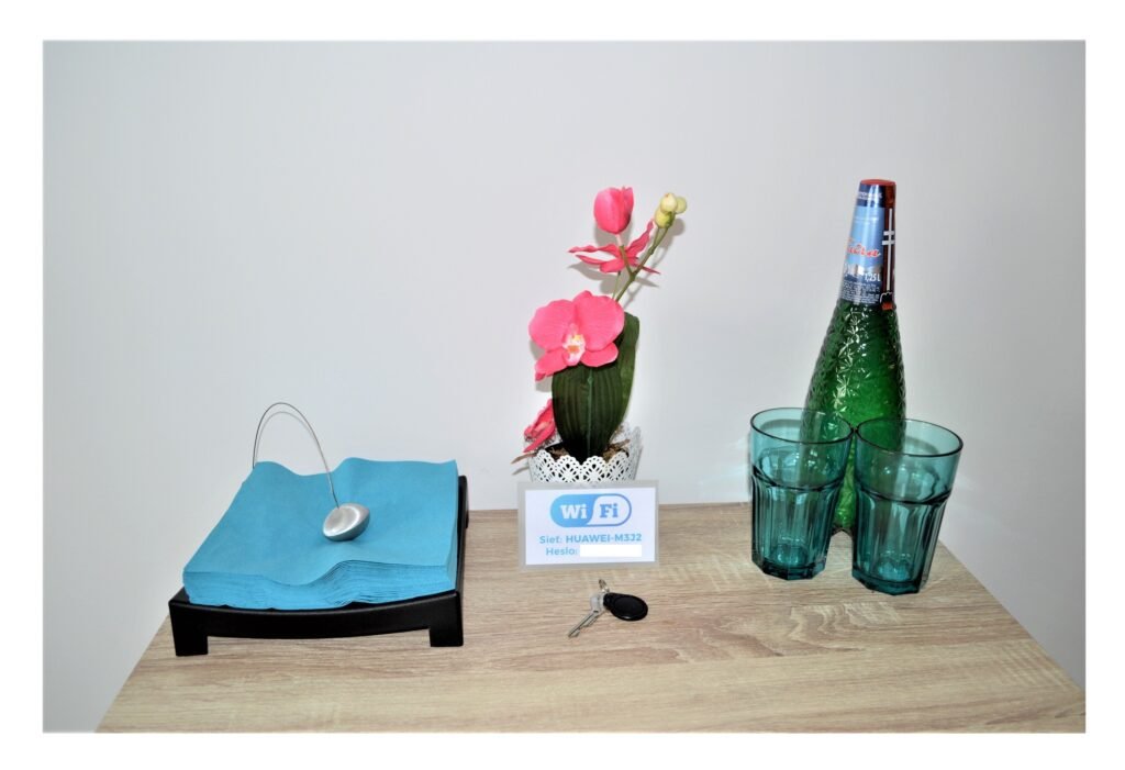 sgl apartments trencin — foto 3