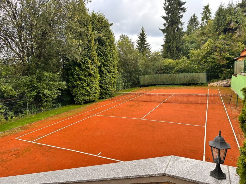 Vidiecke hniezdo — foto 5