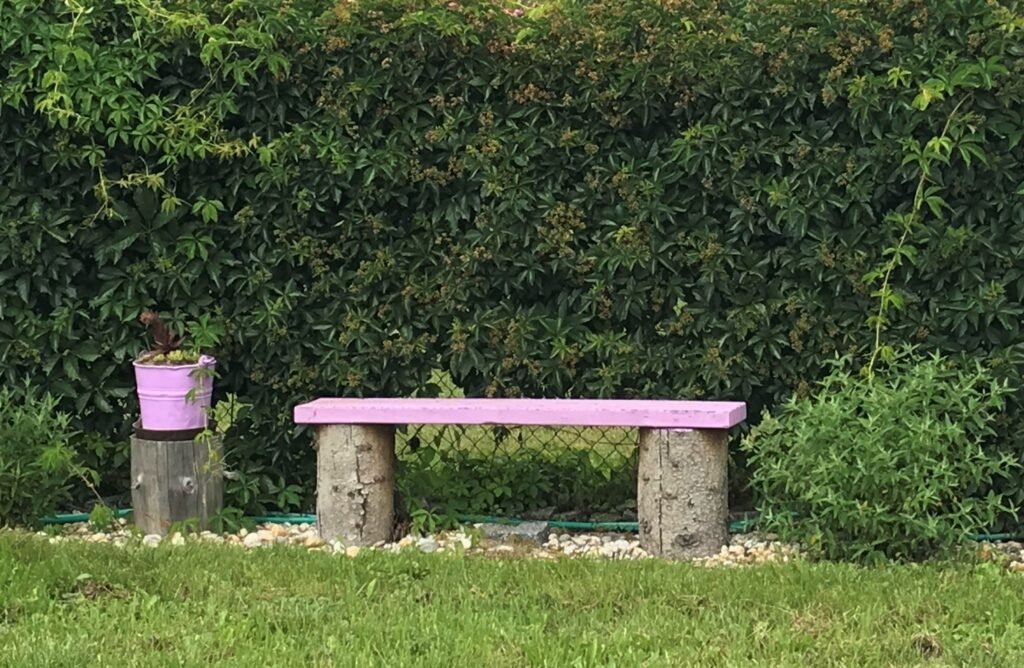 Chalupy u vinare — foto 5