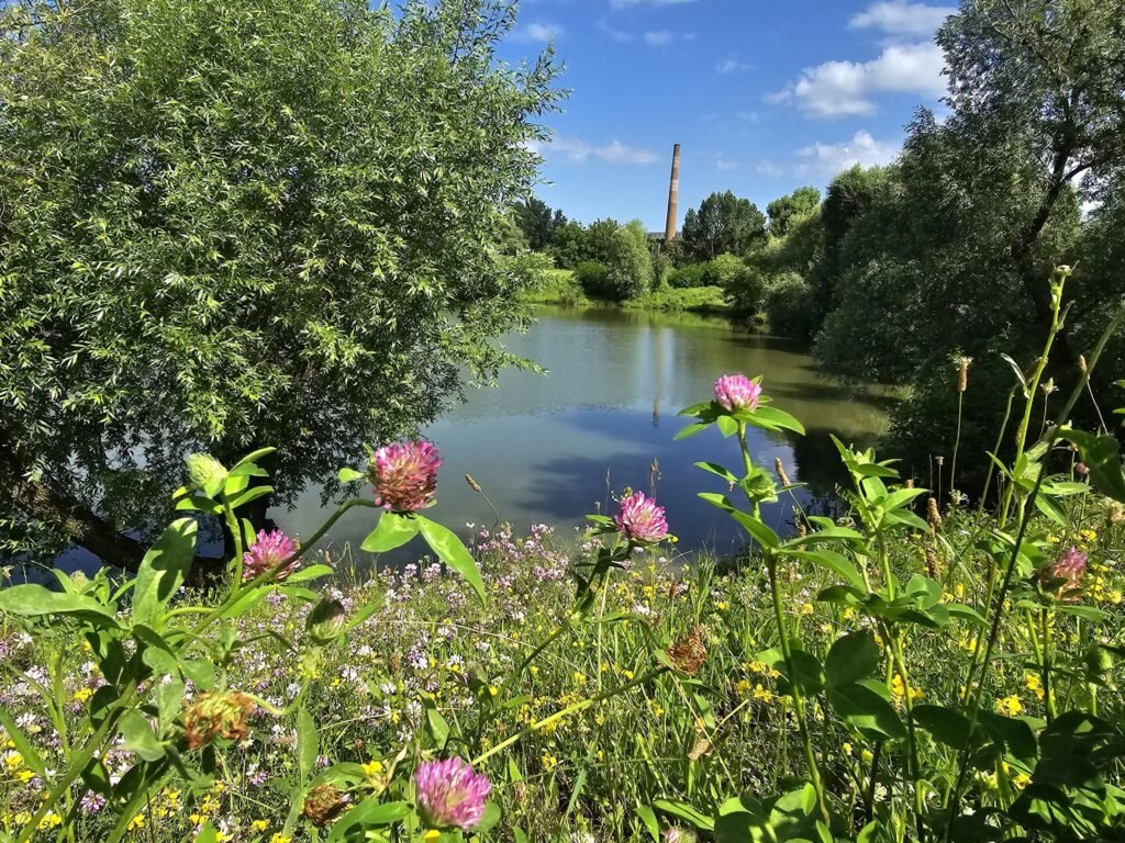 ubytovanie pri jazere — foto 7