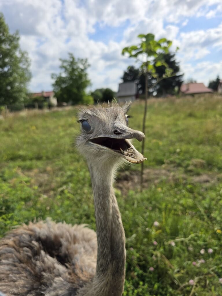 ubytovanie pri jazere — foto 2