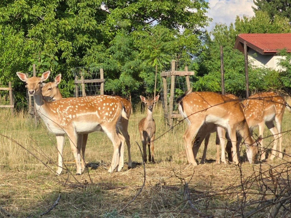 ubytovanie pri jazere — foto 5
