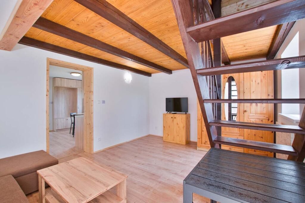 apartmany frantiskovy lazne seniky — foto 3