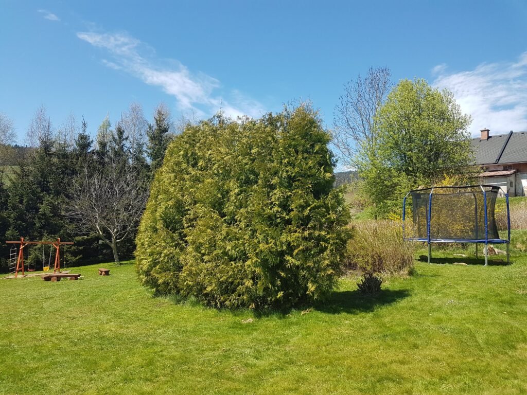 chata pod jasanem — foto 7