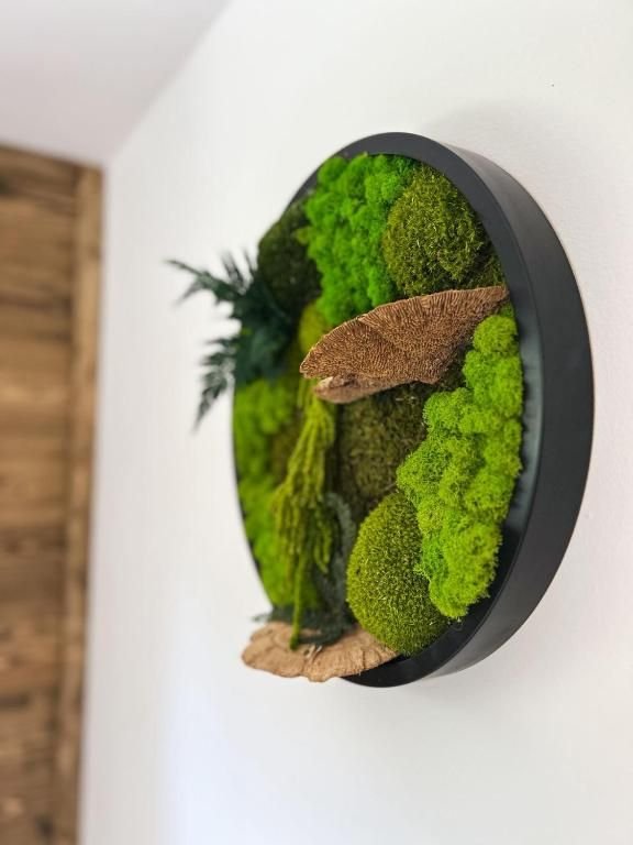 apartman sachrak harrachov — foto 2