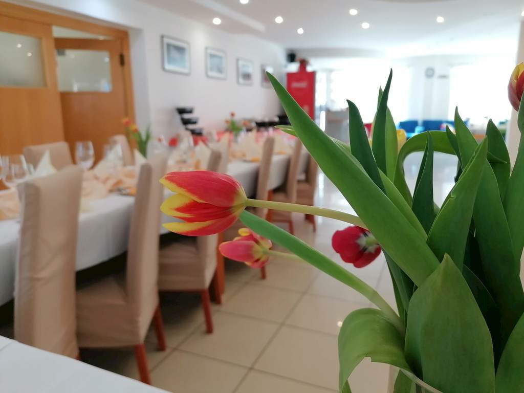 penzion slniecko — foto 2