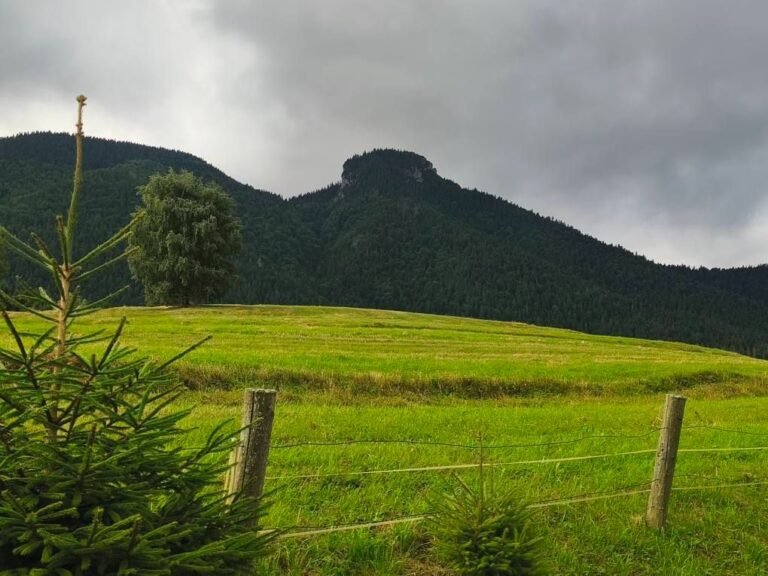 maringotka raj na zemi