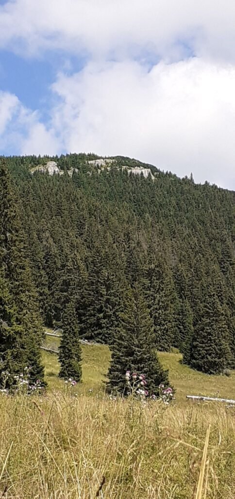 maringotka raj na zemi — foto 3