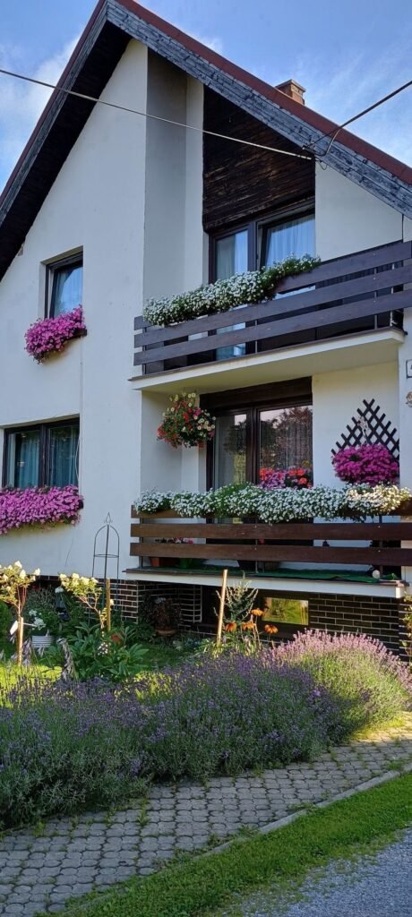 privat otilia — foto 3