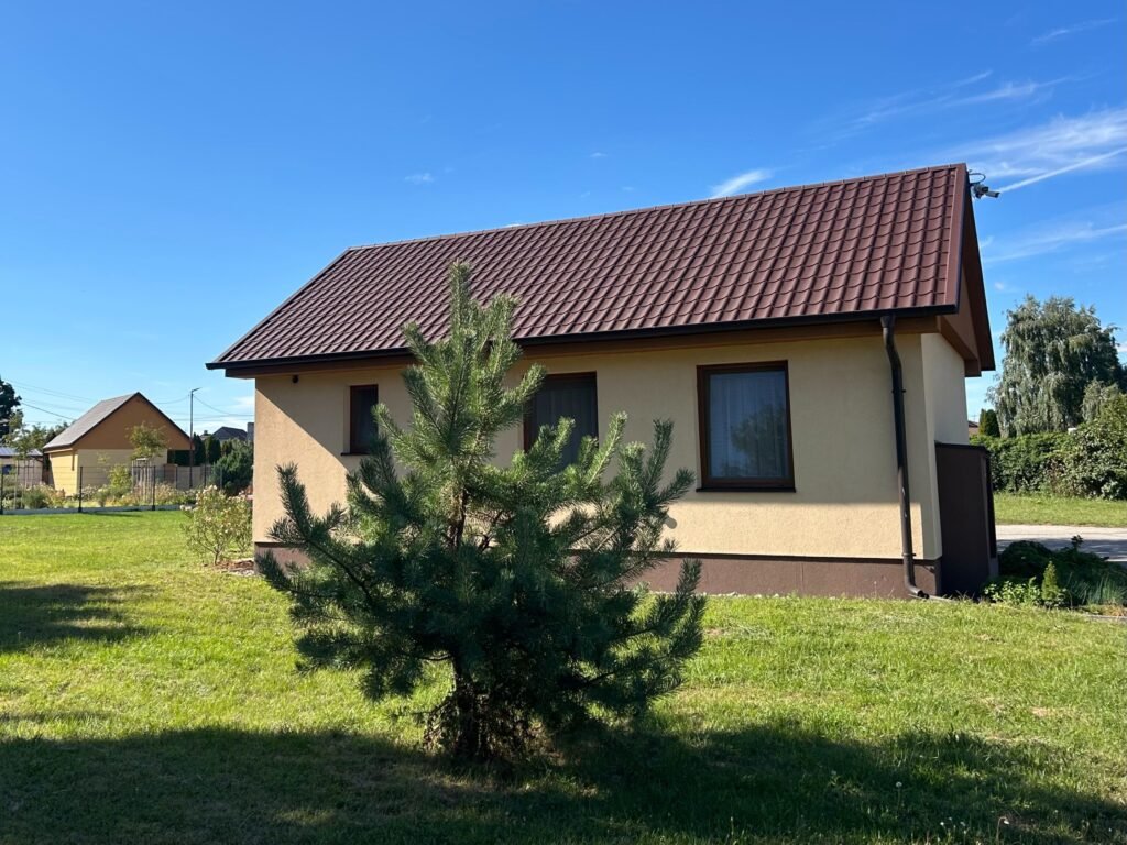 Lodenica sintava — foto 5