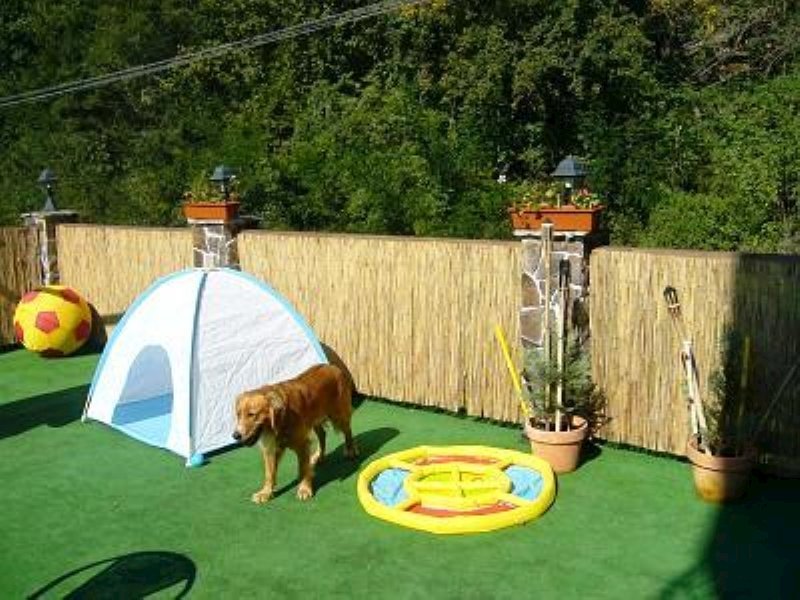 penzion na slnecnej strani — foto 3