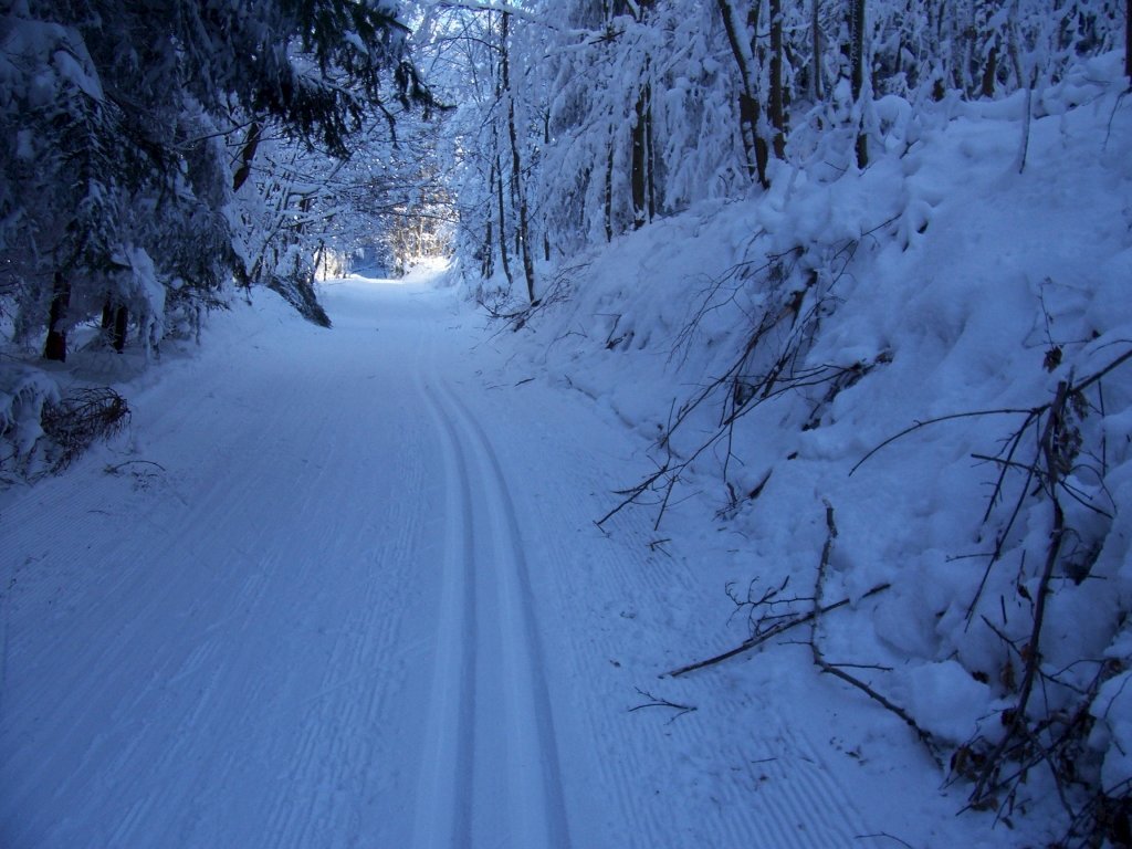 chalupa stara myjava — foto 8