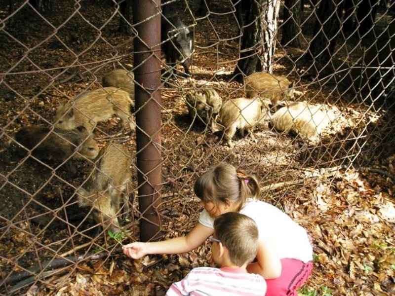 chata kovacova — foto 3