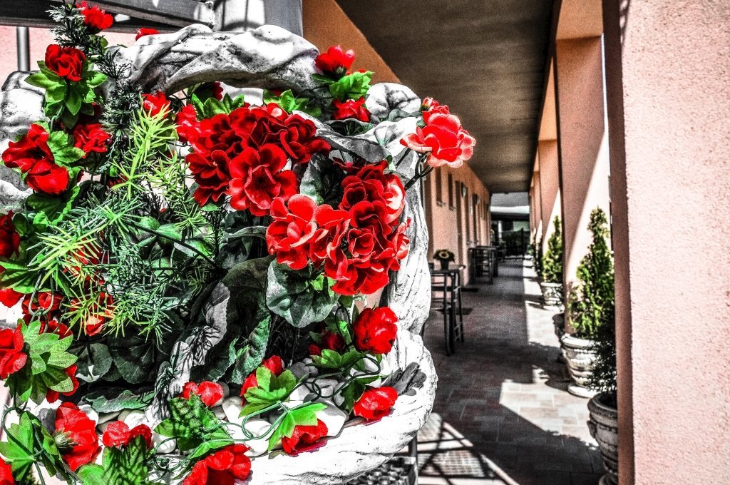 penzion mineral — foto 2