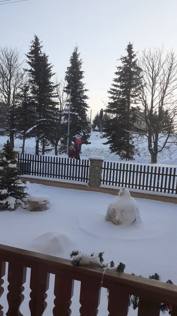 chalupa darina — foto 3