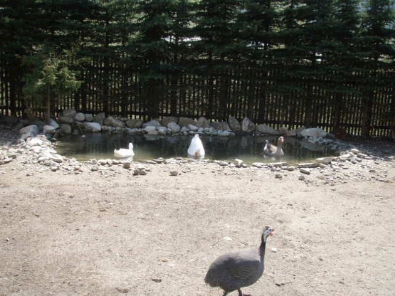 chalupa monika — foto 3