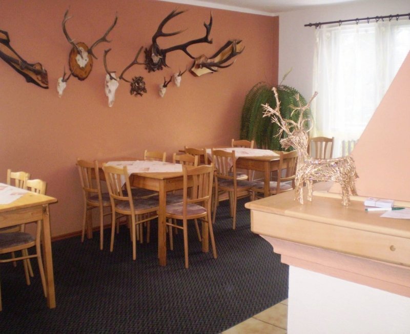 penzion borky vitanova — foto 3