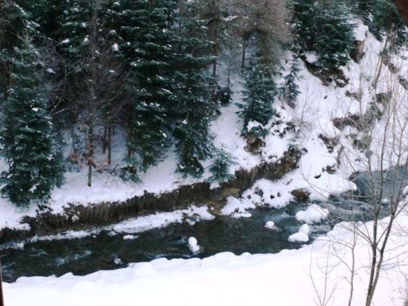 chata jaja — foto 4