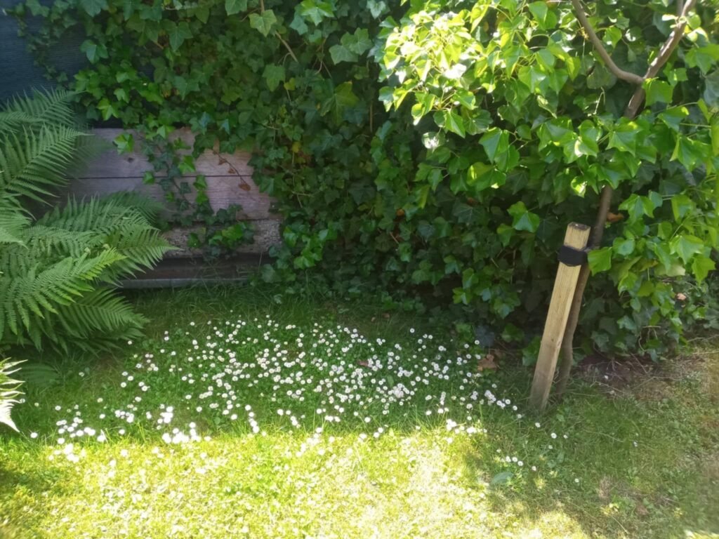 chalupa pohoda liptov — foto 3
