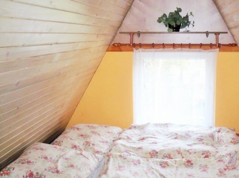 chata longhorn — foto 2