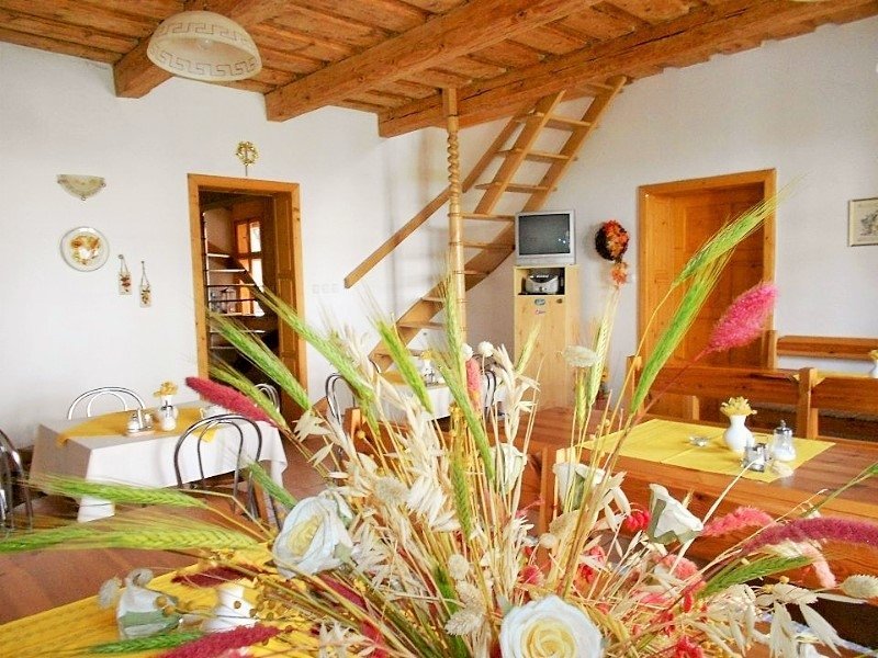 drevenica hron — foto 3