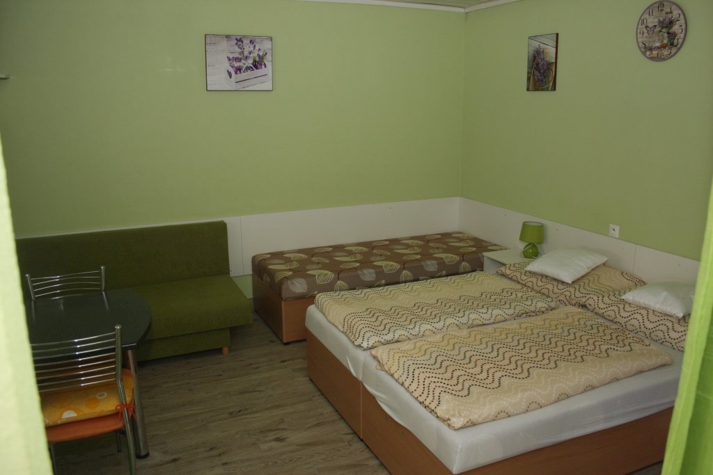 Studia silvia — foto 4