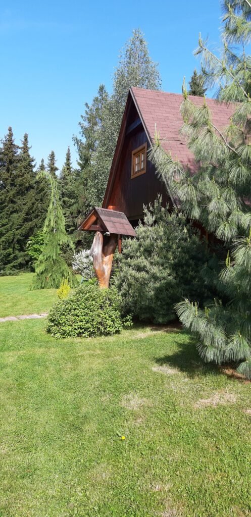 Chatka sova a vevericka — foto 2