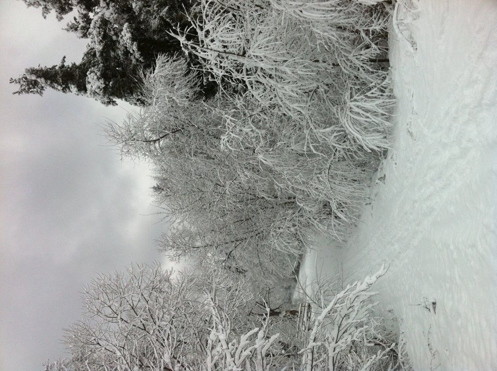 chata priehrada — foto 3