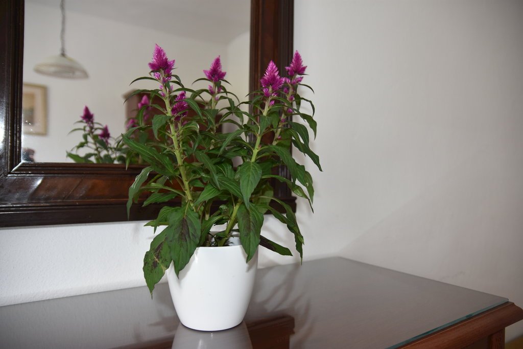 privat gader — foto 3