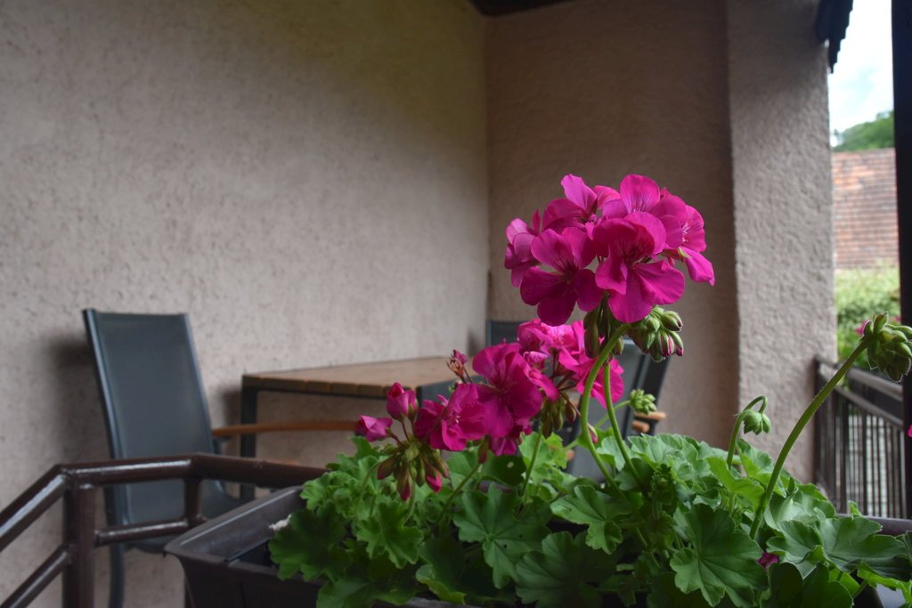 Privat gader — foto 8