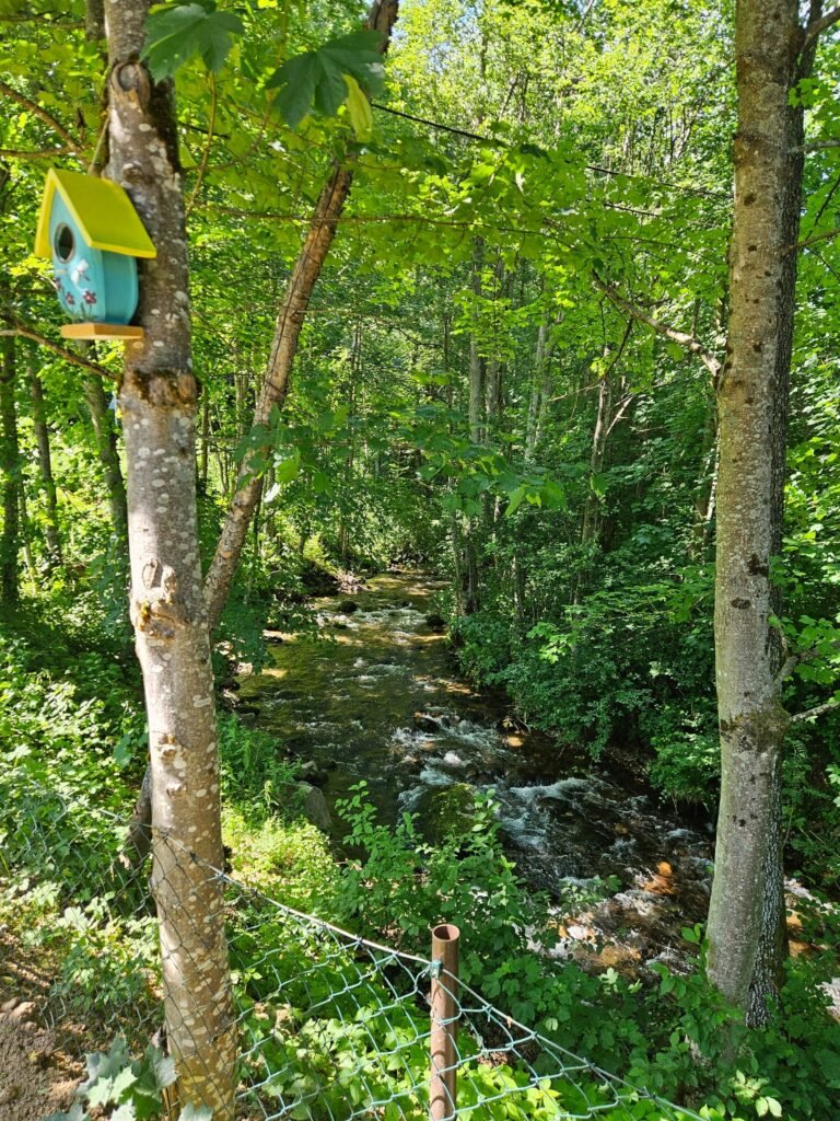 chata chopok bystra — foto 8