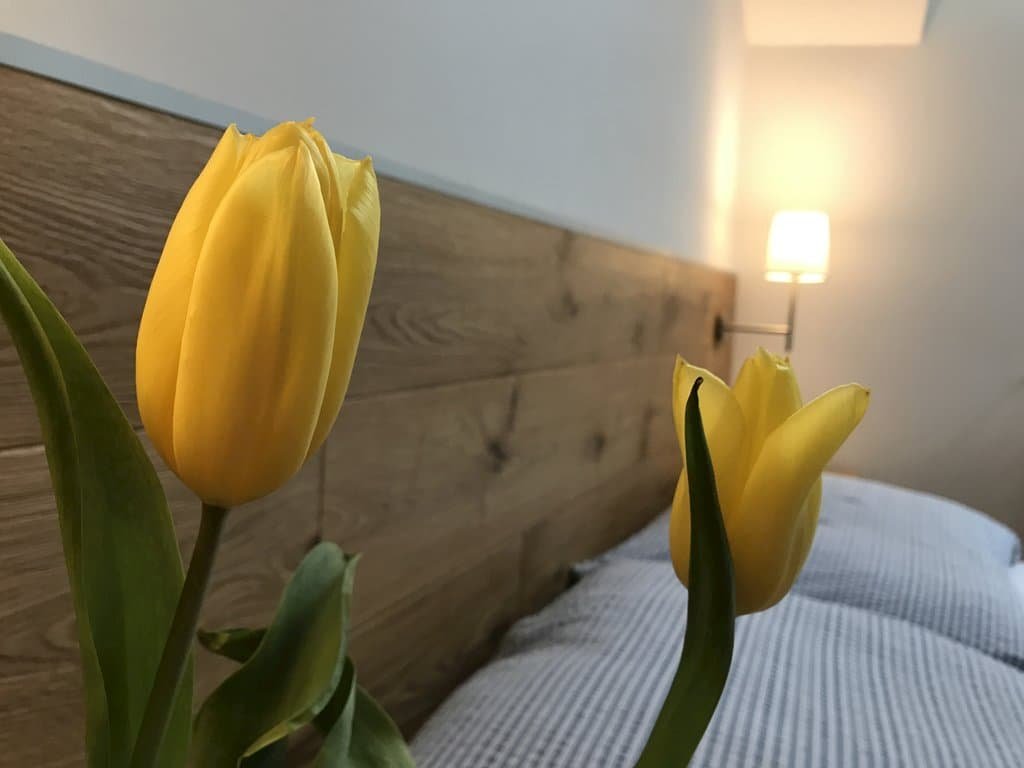 penzion biely potok — foto 2