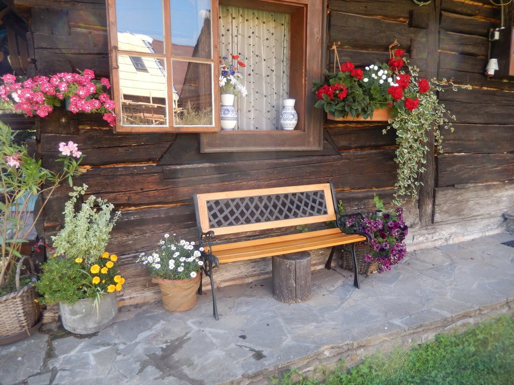 drevenica zlatka — foto 3