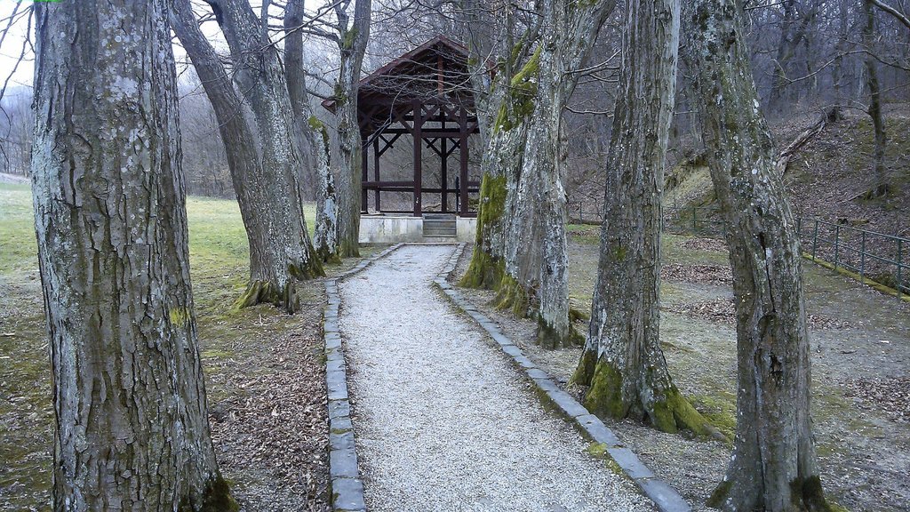 Penzion gejzir — foto 4