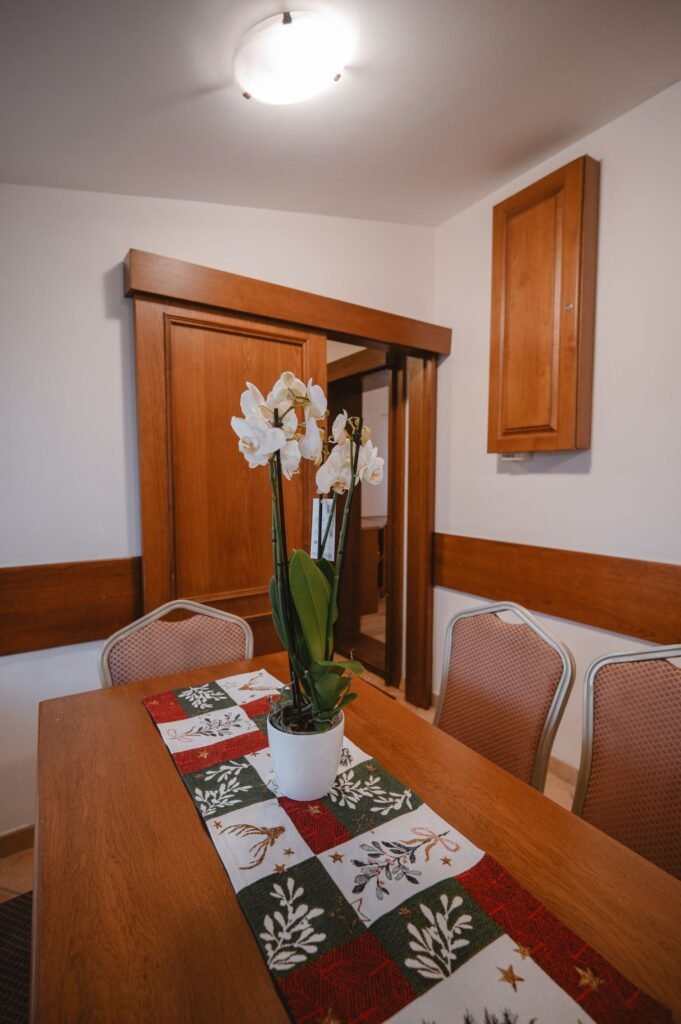 chata lesana — foto 2