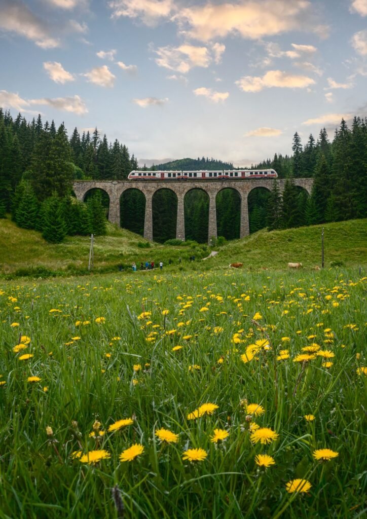 apartmany chaty ski telgart — foto 2